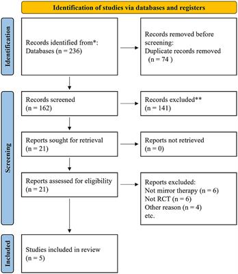 Effects of a virtual reality-based mirror therapy system on upper extremity rehabilitation after stroke: a systematic review and meta-analysis of randomized controlled trials